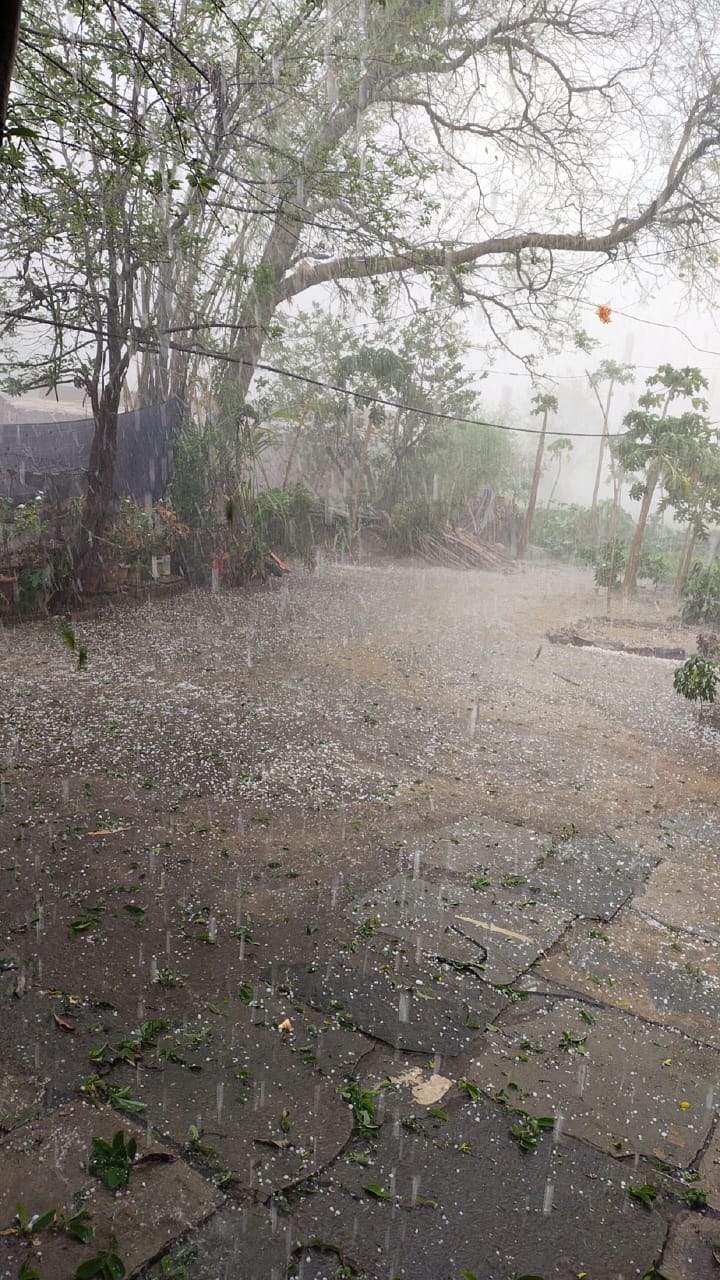 महासमुंद -/ मौसम ने बदला मिजाज कई इलाकों ओलावृष्टि और तेज बारिश