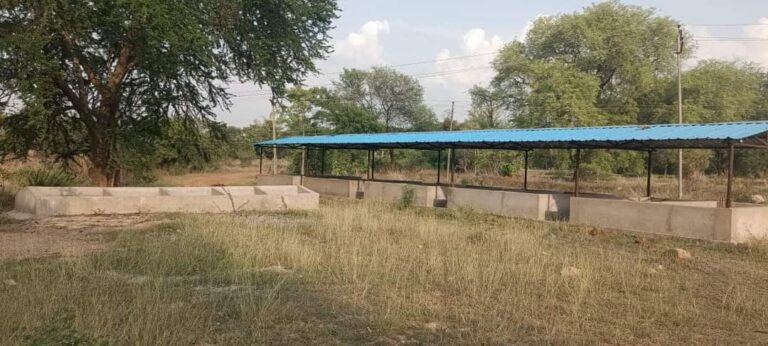 महासमुंद -/ गौठान में राजनैतिक दल के सदस्यों द्वारा गौठानों में जाकर पूरी वास्तविकता संबंधी खबरे न देकर भ्रमक खबरें समाचार पत्रों व सोशल मीडिया के जरिए आमजन को भ्रमित कर रहे है -/ जनपद पंचायत महासंमुद