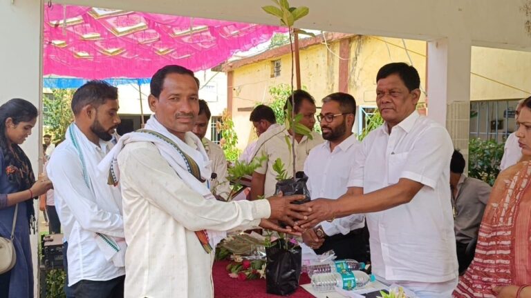 बसना विकासखंड के ग्राम बड़े साजापाली में ज़िला स्तरीय जन चौपाल लगी 50 आवेदन शिविर स्थल पर ही निराकृत कृषकों को फल पौध व सब्जी बीज मिनीकिट वितरित