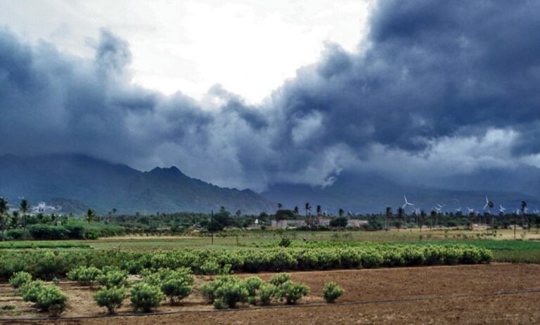छत्तीसगढ़ में कब दस्तक देगा मानसून? मौसम विभाग ने बताया राज्य में कब से होगी बरसात