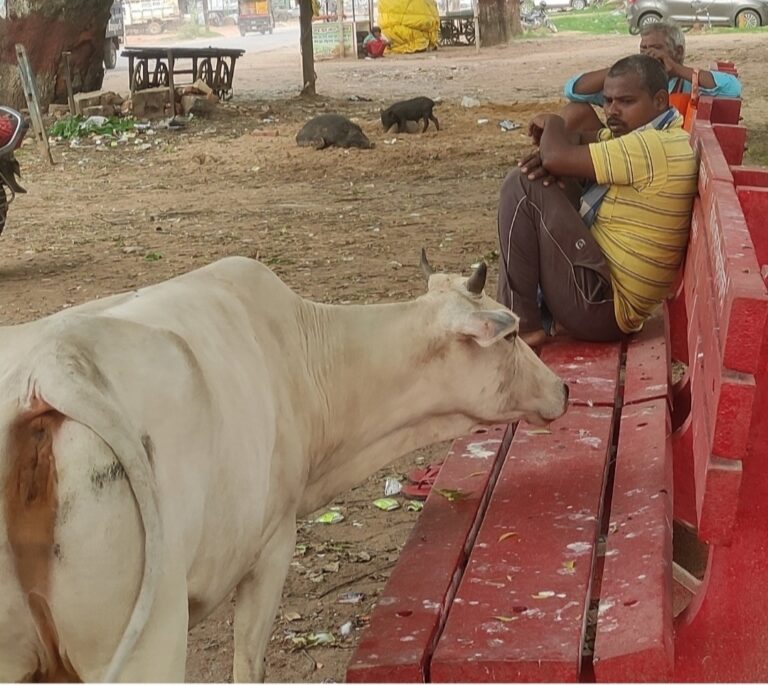 बसना -/ बैंक के बाहर किसानों के लिए लगाए गए कुर्सियों पर गन्दगी बैठने और खड़े होने के लिए गन्दगी भरी सांस लेने को होते है मजबूर इस इनका उपयोग अब कम लोग करते है