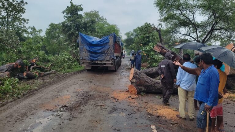 बसना सरायपाली के कई इलाकों में रात से भारी वर्षा पेड़ गिरने से मार्ग बंद था जिसको पुलिस ने हटाया आंगनबाड़ी ,से लेकर ओभर ब्रिज के नीचे पानी तक पानी नल जल के लिए खोदे गए गड्ढे बन रहे है ग्रामीणों की मुसीबत