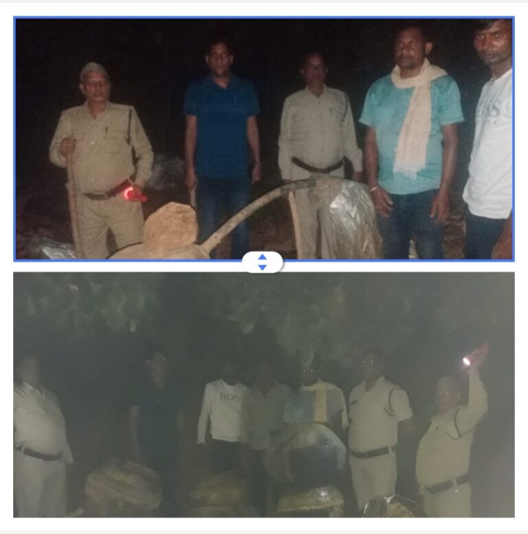 सरायपाली : जंगल के किनारे दबिश 02 ठिकानां में 360 लीटर मदिरा एवं 2700 किलोग्राम महुआ लाहन आबकारी विभाग ने दबिश देकर जप्त किया