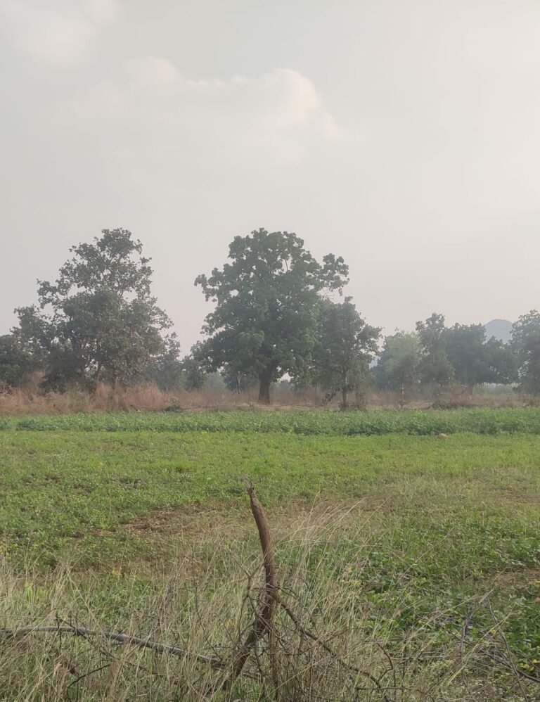 बसना : ग्रामीणों की दुर्दशा सरपँच के संरक्षण में सरकारी योजनाओं का हो रहा है दुर्पयोग करीबी कमा रहे है लाखो ।  बसना