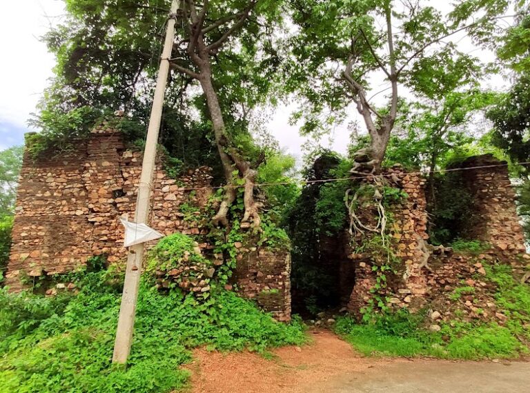 बसना : इस देवी मंदिर से सोने का माला और दान पेटी से हजारों रु क़ी चोरी