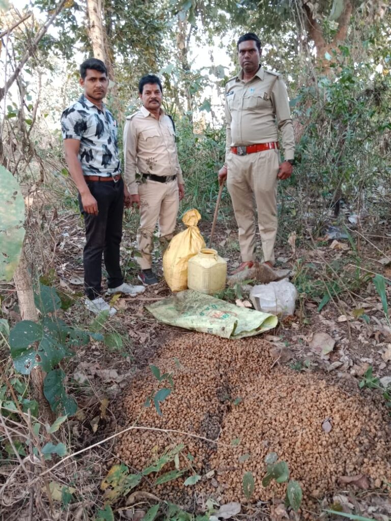 बसना -: ग्राम अखरभाठा के जंगल में 50 लीटर महुआ शराब तथा भारी मात्रा में महुआ लाहन बरामदआ बकारी टीम बसना की कार्रवाई