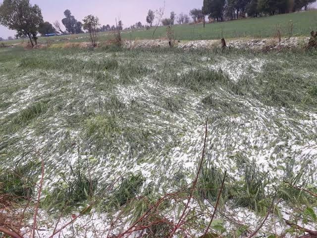 महासमुंद :- लापरवाह पटवारी का वेतन वृद्धि रोकते हुए हल्का से पृथक किया गया अनुविभागीय अधिकारी उमेश साहू द्वारा की गई कार्रवाई