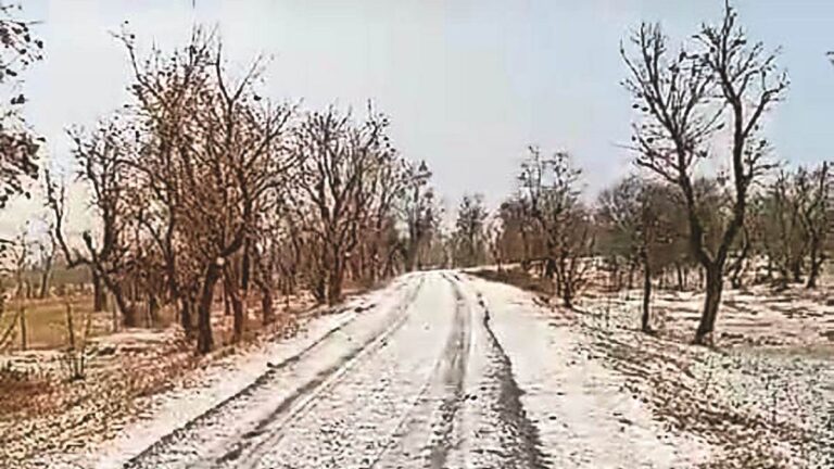 छत्‍तीसगढ़ में बेमौसम बारिश और ओलावृष्टि से फसलों के नुकसान का होगा आकलन, सरकार ने जारी किया आदेश