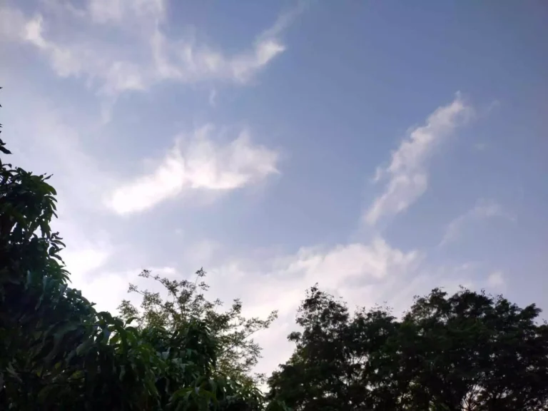 छत्तीसगढ़ के 19 जिलों में आज मौसम में बदलाव के आसार, दोपहर तक गर्मी और शाम को आंधी-तूफान की चेतावनी जारी