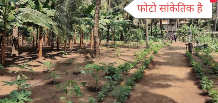 Mahasamund तुमगाँव -: सब्जी फार्म के अंदर शराब सेवन मना करने और फोटो खींचने लगा मालिक तो 3 लोगो ने क़ी पिटाई 112 आने के पहले भागे आरोपी!