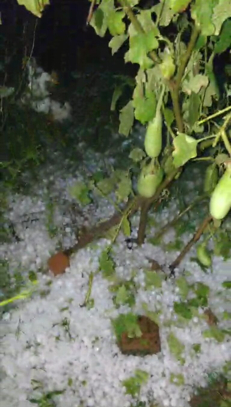 सरायपाली बसना सहित छत्तीसगढ़ के कई इलाकों मे भारी बर्फ बारी आंधी तूफान ने मचाया कोहराम