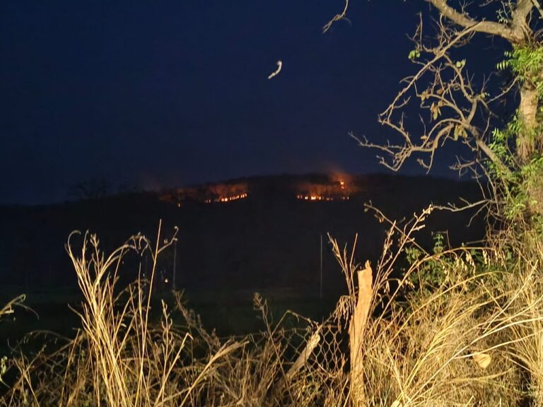 बसना से पथरल्ला आरंगी मार्ग के वन क्षेत्र मे लगी भीषण आग मामले मे वन क्षेत्र मे रहने वाले ग्रामीणों से क्या कहा डिप्टी रेंजर ने!