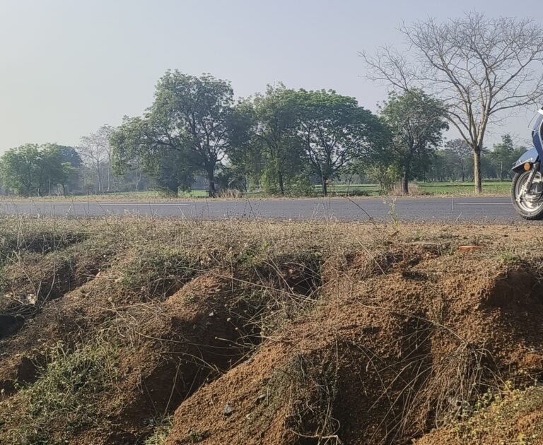 सरायपाली से भंवरपुर मार्ग कांग्रेस कार्यकाल की देन – साल नहीं हुवा पूरा और मार्ग किनारे धंसने लगे मुरुम – ग्रामीणों का दावा बरसात मे पूरी तरह बह जाएगी मिट्टी और यही होती है सबसे ज्यादा घटना,!