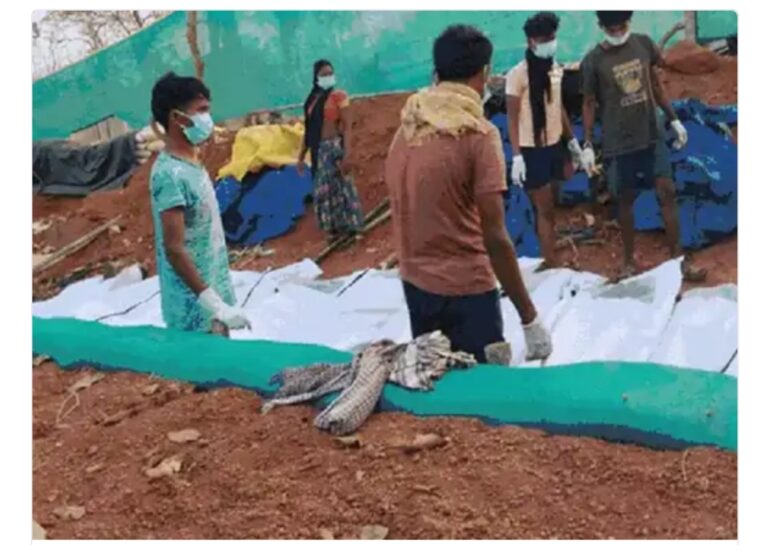 छत्तीसगढ़ / सुरक्षाबलों ने  29 नक्सलियों को किया ढेर, जंगल मे भारी मात्रा में हथियार बरामद, गृह मंत्रालय मुताबिक सूबे के 14 जिलों में नक्सलियों का प्रभाव जिसमे महासमुंद का नाम भी शामिल है!