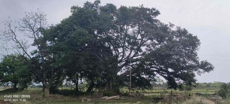 CG Weather Update : प्रदेश में बदला मौसम का मिजाज, राजधानी रायपुर समेत इन जिलों में होगी बारिश