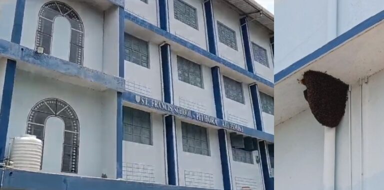 पिथौरा / स्कूल के कई बच्चों और शिक्षको को अस्पताल मे कराना पड़ा भर्ती सेंट स्कूल की लापरवाही राज्य सरकार के आदेश का उल्लंघन करना पड़ा भारी!