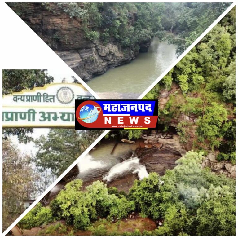 CG / राजा और जनरल गवर्नर बैठकर शिकार किया करते थे इस झरने से जुड़ा इतिहास महासमुंद सरायपाली सारंगढ़ की सीमा पर प्राकृतिक सौंदर्य से भरपूर जहां 200 से ज्यादा प्रजाति की तितलियां उड़ती दिखेंगी नीलगाय, हिरण, साम्भर, वन भैंस, खरगोश, मयूर,!