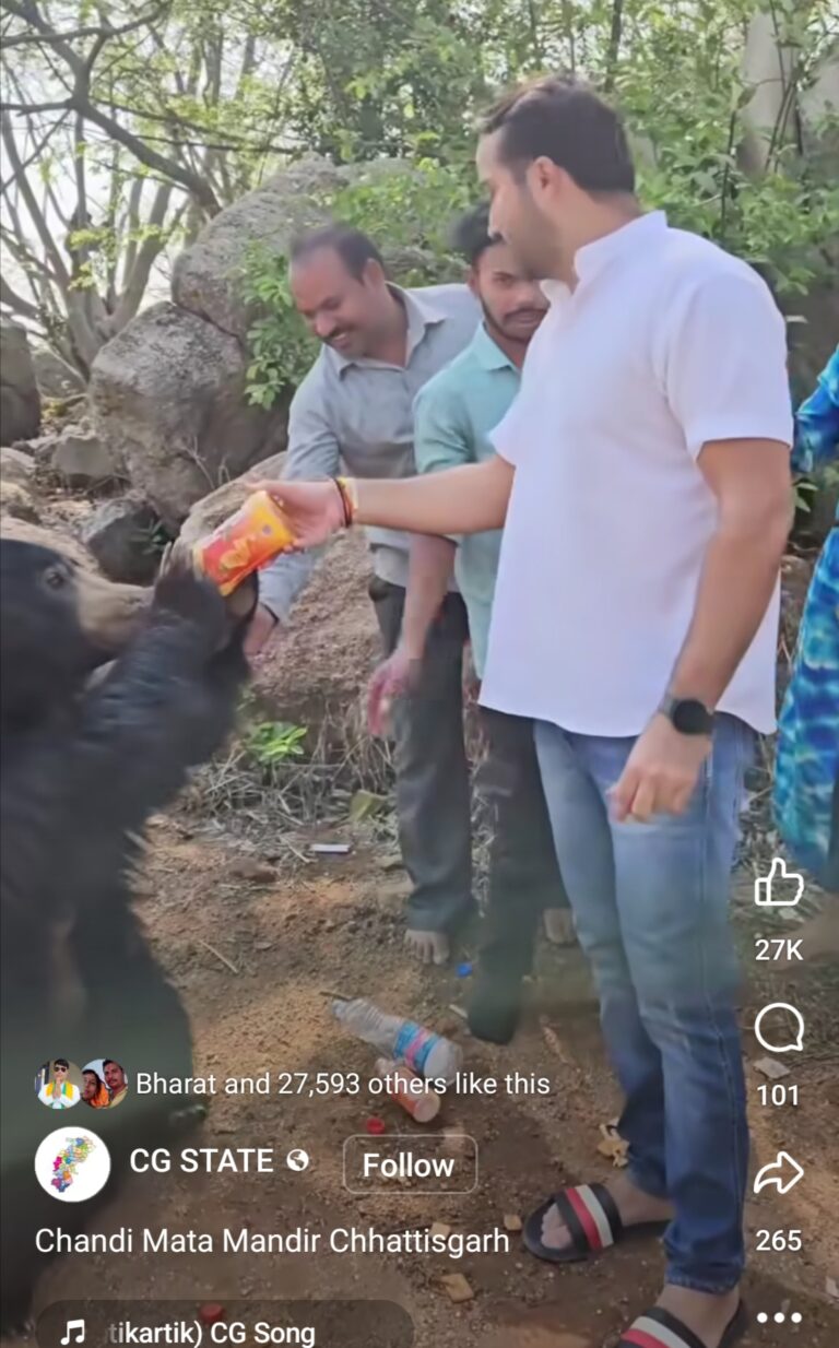 महासमुंद / भालूओ को लोगो ने पालतू तो बना ही दिया था अब फ्रूटी माजा जैसे जूस पिलाकर बनाया जा रहा है रील और वीडियो खुद का जान का परवाह नहीं दुसरो को भी यही सीखा रहे है पर याद रहे पालतू कब हिंसक हो जाए उसके के बाद शासन प्रशासन पर…………….