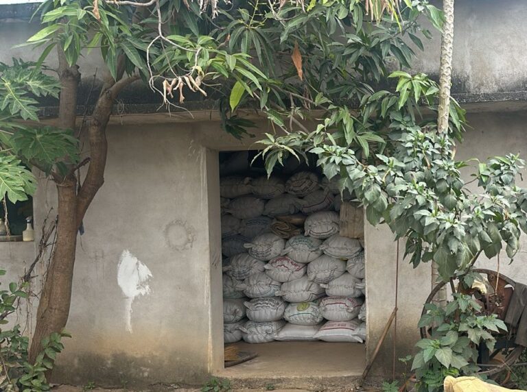 सरायपाली तहसील में अवैध धान संग्रहण पर बड़ी कार्रवाई 1035 बोरा धान जब्त