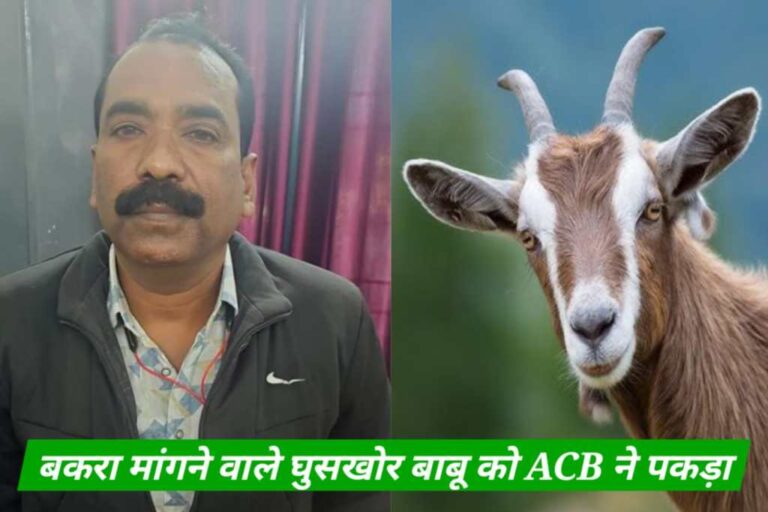 पिथौरा / बेटे क़े सादी क़े लिए बकरा बाबू ने बहाली के बदले रिश्वत में मांगा 50 हजार रुपए , एसीबी ने रंगे हाथ पकड़ा!