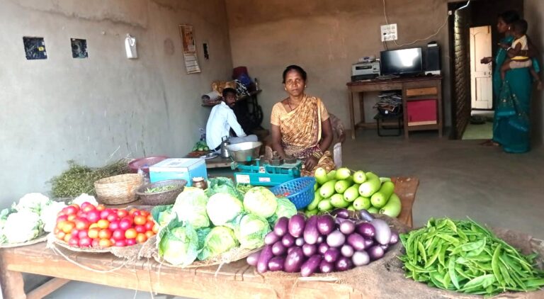 महासमुंद आर्थिक तंगी से सशक्तिकरण की ओर बढ़ती महिलाएँ मीना, भोजबाई और उषा का संघर्ष से स्वरोजगार तक का सफर