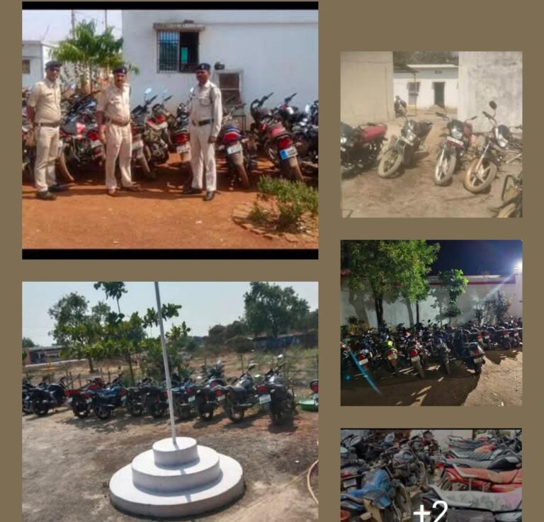 बलौदा बाजार होली पर्व के दिन शांति व्यवस्था बनाए रखने के लिए शराब पीकर गाड़ी चलाने वाले और तीन सवारी करने वाले 217 वाहन किए गए जप्त