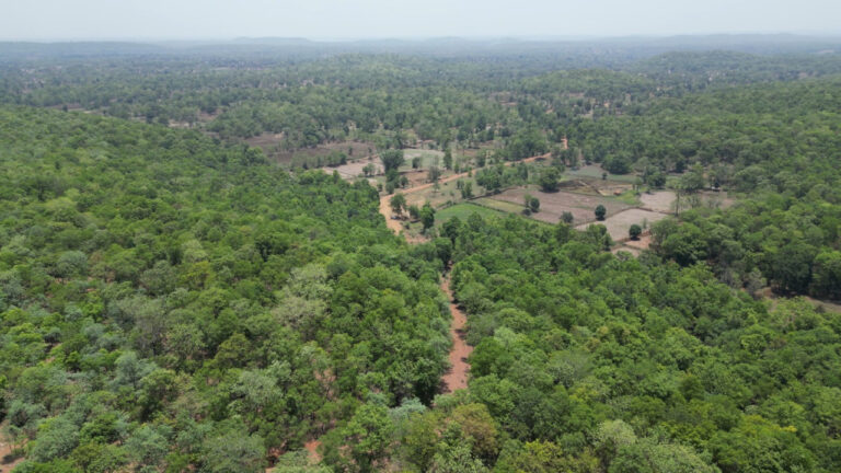 रायपुर : जुनवानी से चिखलीटोला तक बनेगी पक्की सड़क 