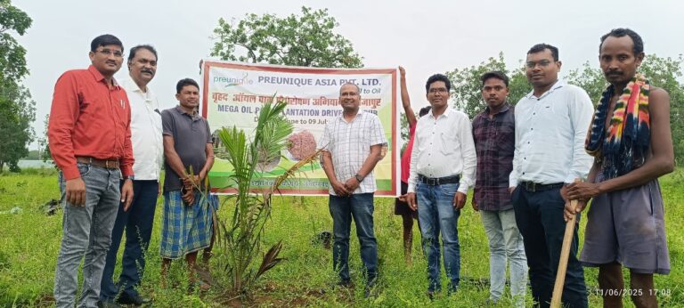 रायपुर : कम मेहनत, कम लागत, बंपर मुनाफा: पाम ऑयल खेती से बदलें किस्मत   