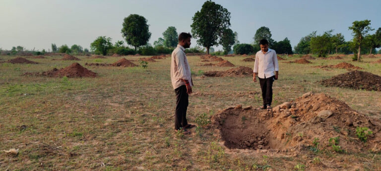 रायपुर : गौरेला-पेंड्रा-मरवाही जिले के नवागांव में ‘‘आम बागवानी’’ को मिली नई उड़ान