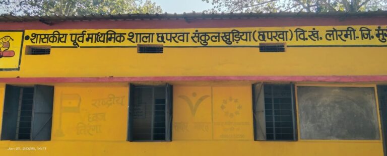 रायपुर : मुंगेली जिले के 98 एकल शिक्षकीय स्कूलों में 