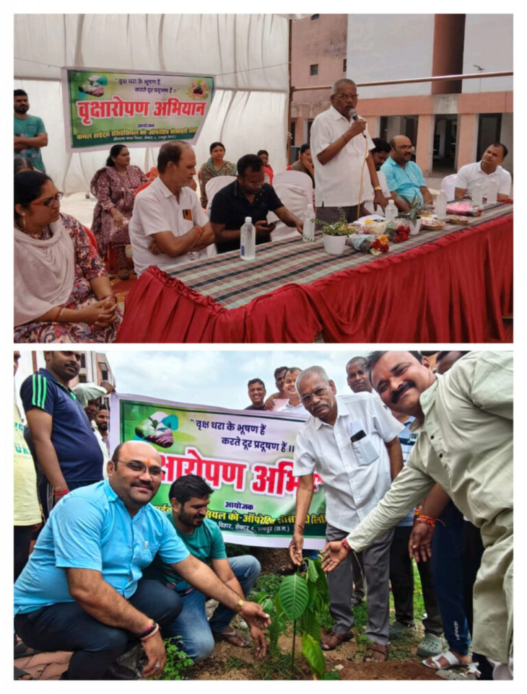 रायपुर : वृक्षारोपण अभियान में शामिल हुए रायपुर विकास प्राधिकरण अध्यक्ष श्री साहू