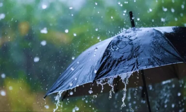 CG/ भारी बारिश से पानी-पानी हुआ छत्तीसगढ़, महासमुंद सहित 15 जिलों में हाई अलर्ट; सड़कें बनी नदी