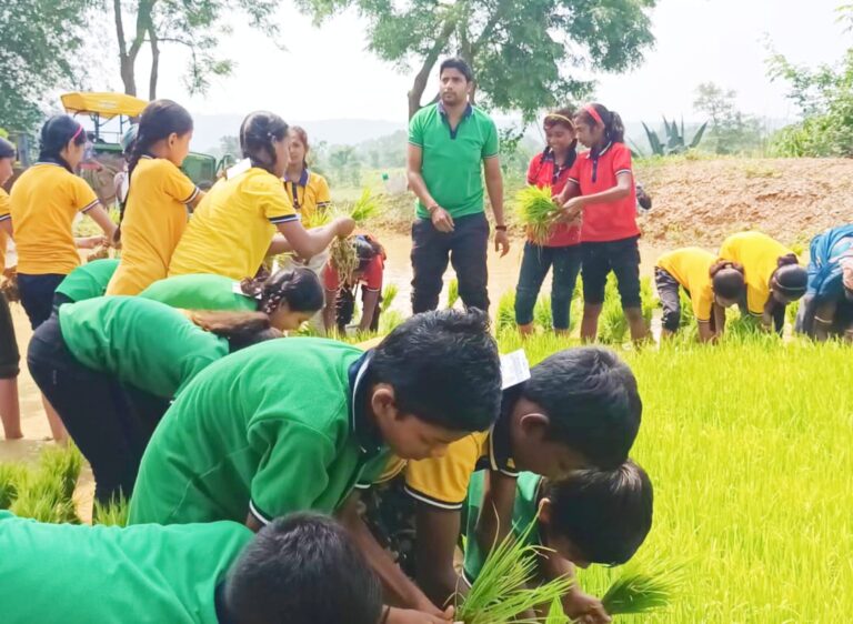 सरायपाली/ शिक्षक ने खेत को बना दिया कक्षा: छात्रों ने सीखी धान की निंदाई-रोपाई, जीवन से जुड़ा व्यावहारिक अनुभव