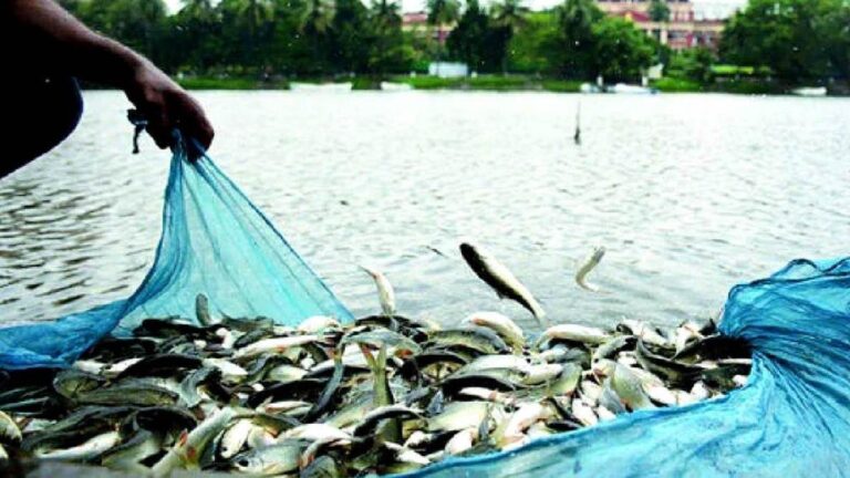 महासमुंद/मछली पालन के लिए 10 वर्षीय पट्टे पर तालाब एवं जलाशय आबंटन हेतु आवेदन आमंत्रित