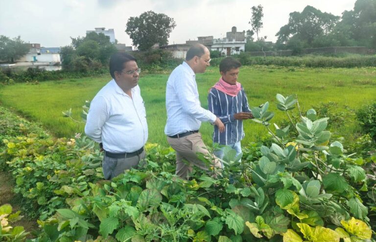 छत्तीसगढ़: मुख्यमंत्री के निर्देश पर रायपुर जिले में किया जा रहा डिजिटल क्रॉप सर्वे 