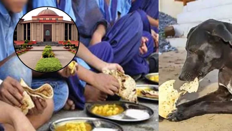 Chhattisgarh HC: 84 छात्रों को खिला दिया था कुत्ते का जूठा, पीड़ितों को 25,000 रुपये मुआवजा देने का आदेश