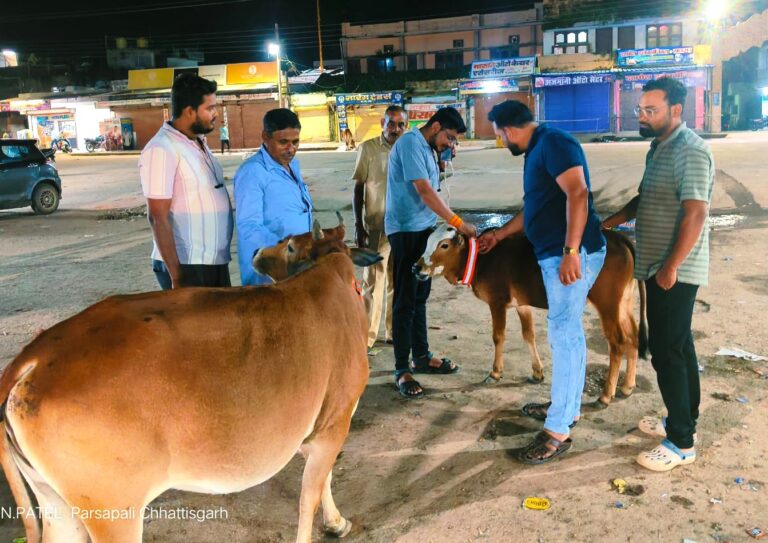 महासमुंद : नगर पंचायत पिथौरा में गोवंश की सुरक्षा और सड़क सुरक्षा के लिए नई मुहिम शुरू