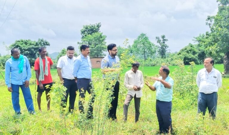 महासमुंद/कलेक्टर श्री लंगेह ने खेतों में उतरकर डिजिटल क्रॉप सर्वे का किया निरीक्षण राजस्व अधिकारियों ने भी किया डिजिटल क्रॉप सर्वे