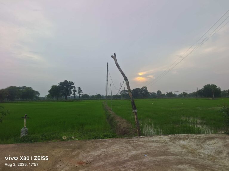 छत्तीसगढ़ में फिर बदला मौसम का मिजाज: अगले 5 दिनों तक बारिश के आसार, यलो अलर्ट जारी