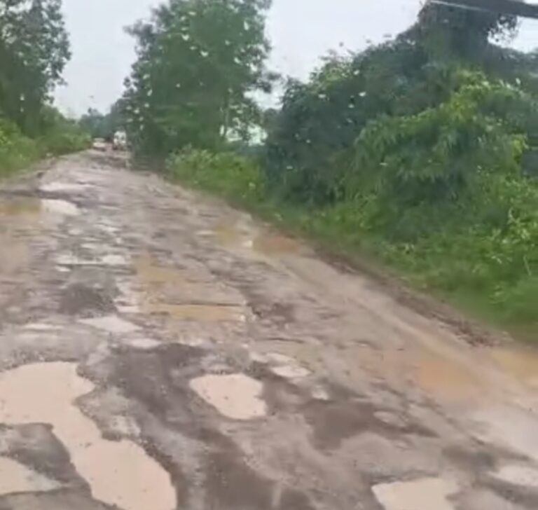 सरसींवा-सरायपाली मार्ग की हालत इन दिनों बेहद खराब हो गई है। बरसात के चलते सड़क पर जगह-जगह बने गड्ढों में पानी भर जाने से आवागमन बाधित हो रहा है। आए दिन वाहन चालक दुर्घटनाओं का शिकार हो रहे हैं।