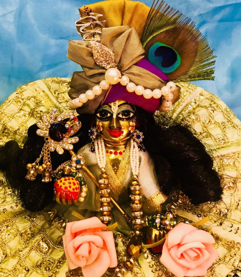 जन्माष्टमी व्रत में भूलकर भी न करें ये गलतियां, वरना टूट जाएगा व्रत