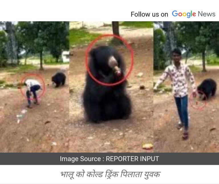 CG : महासमुन्द मे रील बनाने के चक्कर में बिलासपुर का युवक पहुंचा सलाखों के पीछे, भालू को कोल्डड्रिंक पिलाने का वीडियो वायरल के बाद वन विभाग ने बिलासपुर से आरोपी को दबोचा