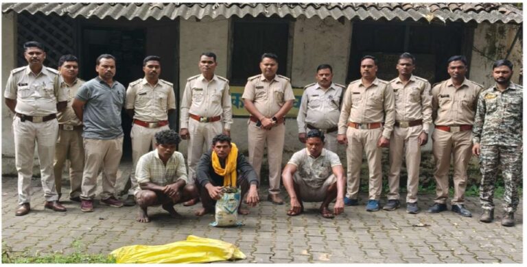 छत्तीसगढ़ : वन विभाग की तत्परता से पकड़े गए तीन आरोपी मृत हाथी का मामला सुलझा