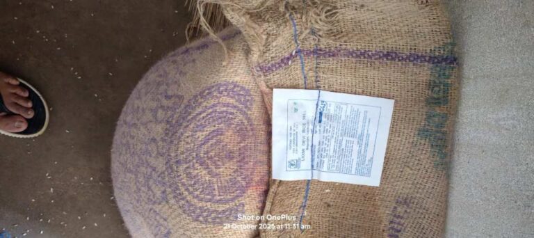 बसना सरायपाली: निशुल्क चावल योजना में भ्रष्टाचार का कड़वा स्वाद गरीबों तक पहुंच रहा कंकड़-फफूंद वाला चावल, ग्रामीणों में आक्रोश