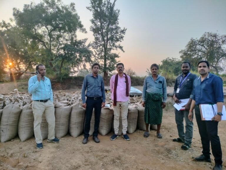 राजस्व विभाग की कार्रवाई, बसना अंतर्गत 545 कट्टा अवैध धान जप्त