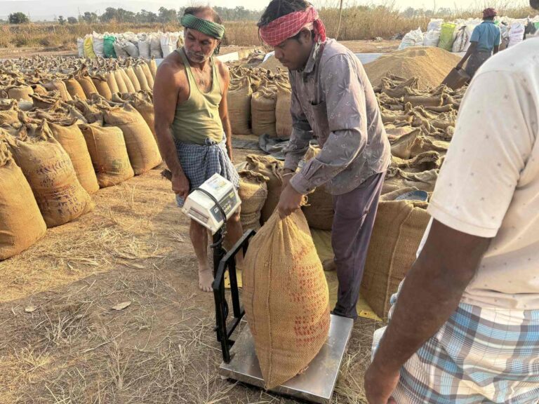 महासमुंद*अब तक 51 हजार 555 टन से अधिक धान की खरीदी, सभी केंद्रों में सुचारु व्यवस्था*