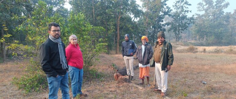 पिथौरा/महासमुंद वनमण्डल में वृक्षों की अवैध कटाई गतिविधियों पर सख्त कार्रवाई