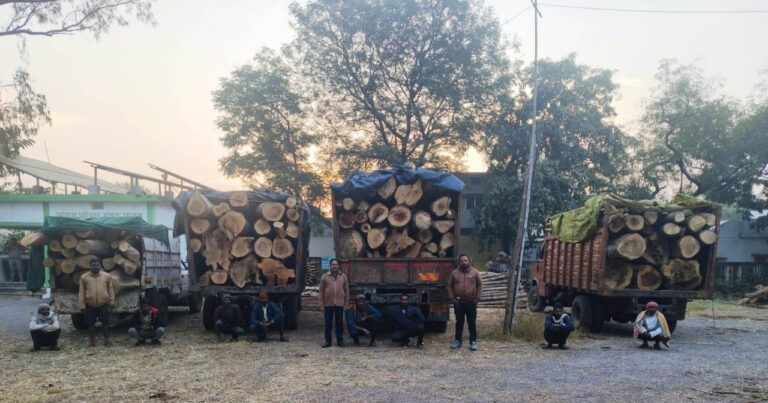 रायपुर : प्रतिबंधित काष्ठों का अवैध परिवहन पकड़ा गया, वन विभाग ने की जप्ती