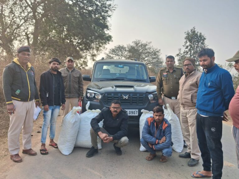 महासमुंद एंटी नारकोटिक्स टास्क फोर्स की बड़ी कार्रवाई 80 किलो गांजा के साथ दो तस्कर गिरफ्तार, 55 लाख की संपत्ति जब्त