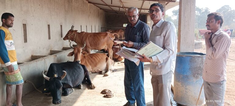 महासमुंद/वरिष्ठ प्रबंधक डॉ. वी.पी. भोसले द्वारा राष्ट्रीय गोकुल मिशन अंतर्गत एबीआईपी-एसएस कार्यक्रम का निरीक्षण